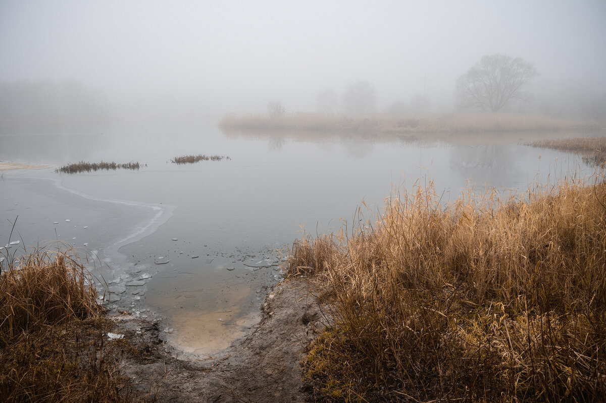 Нетипичный декабрь - Валерий VRN Нетипичный декабрь - Валерий VRN