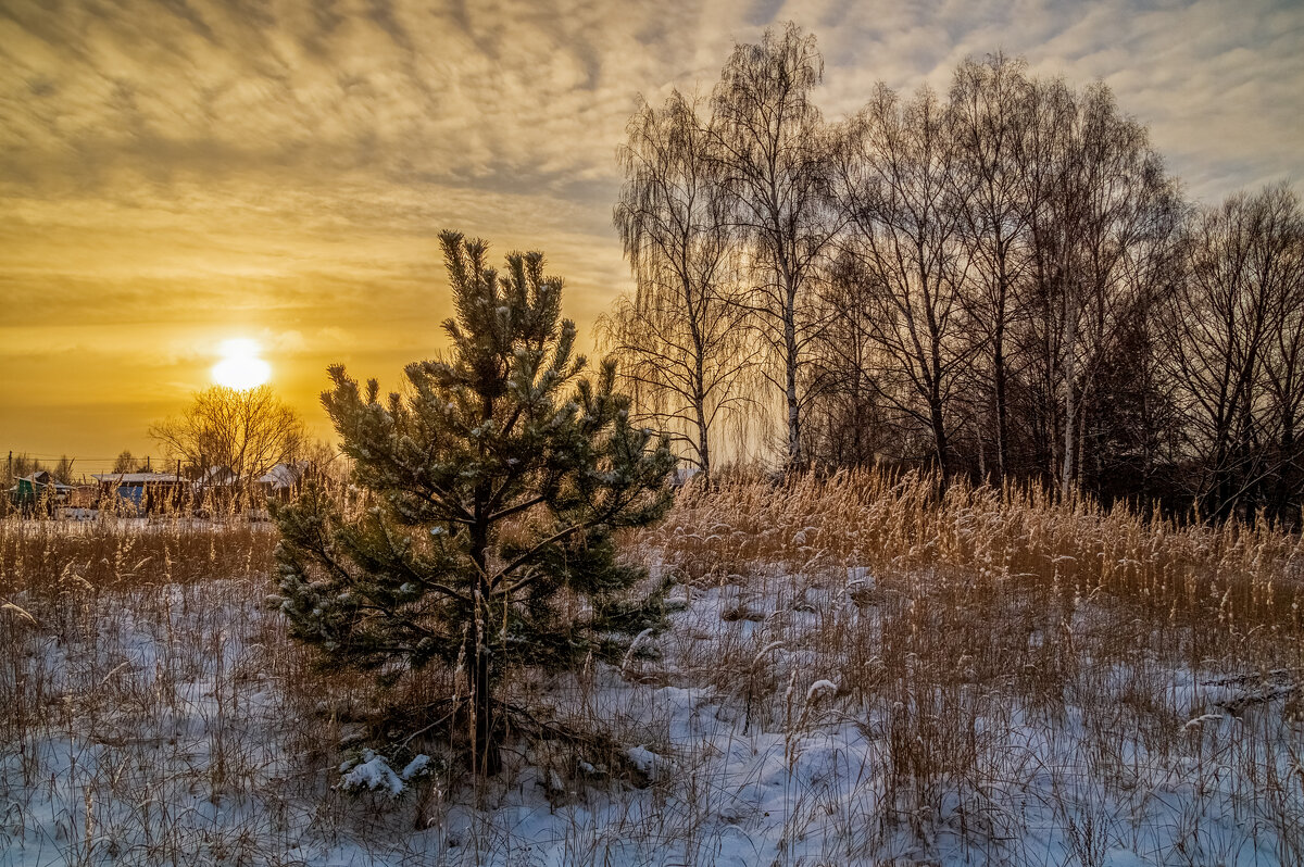 Середина Декабря - Андрей Дворников Середина Декабря - Андрей Дворников