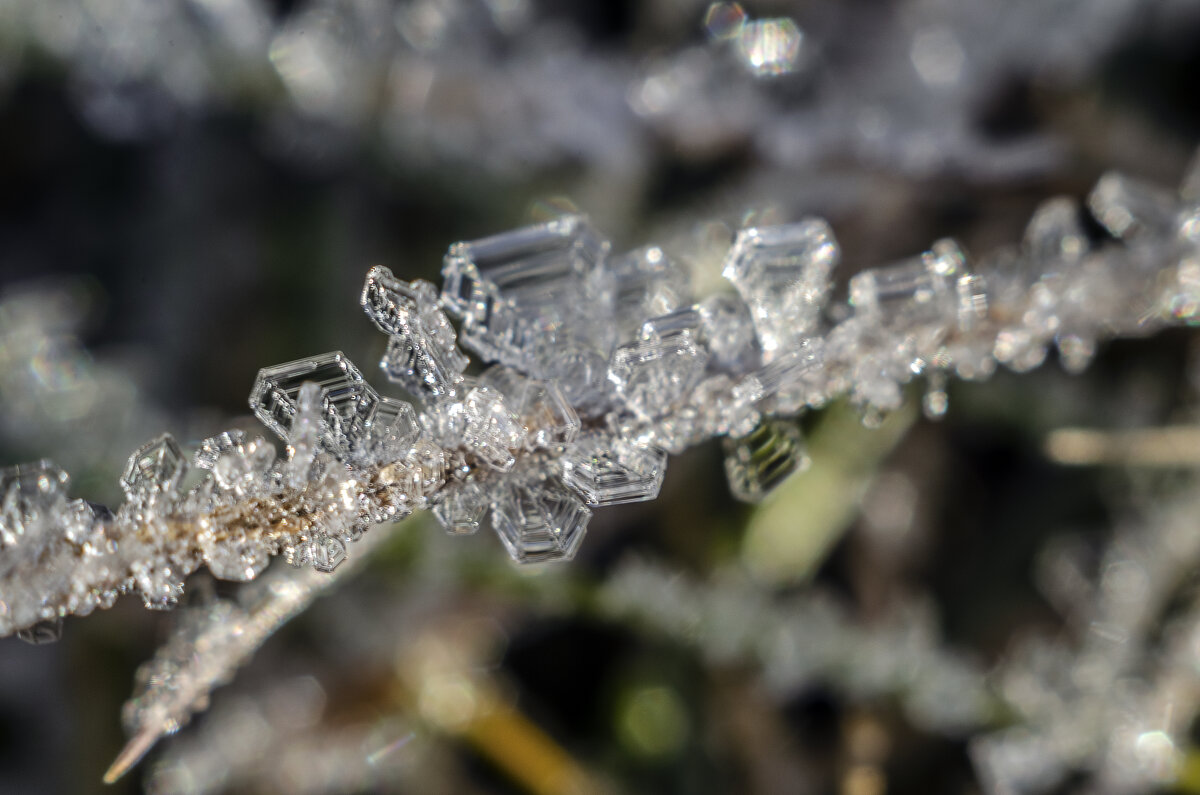 Бриллианты 2 - Андрей Щетинин Бриллианты 2 - Андрей Щетинин