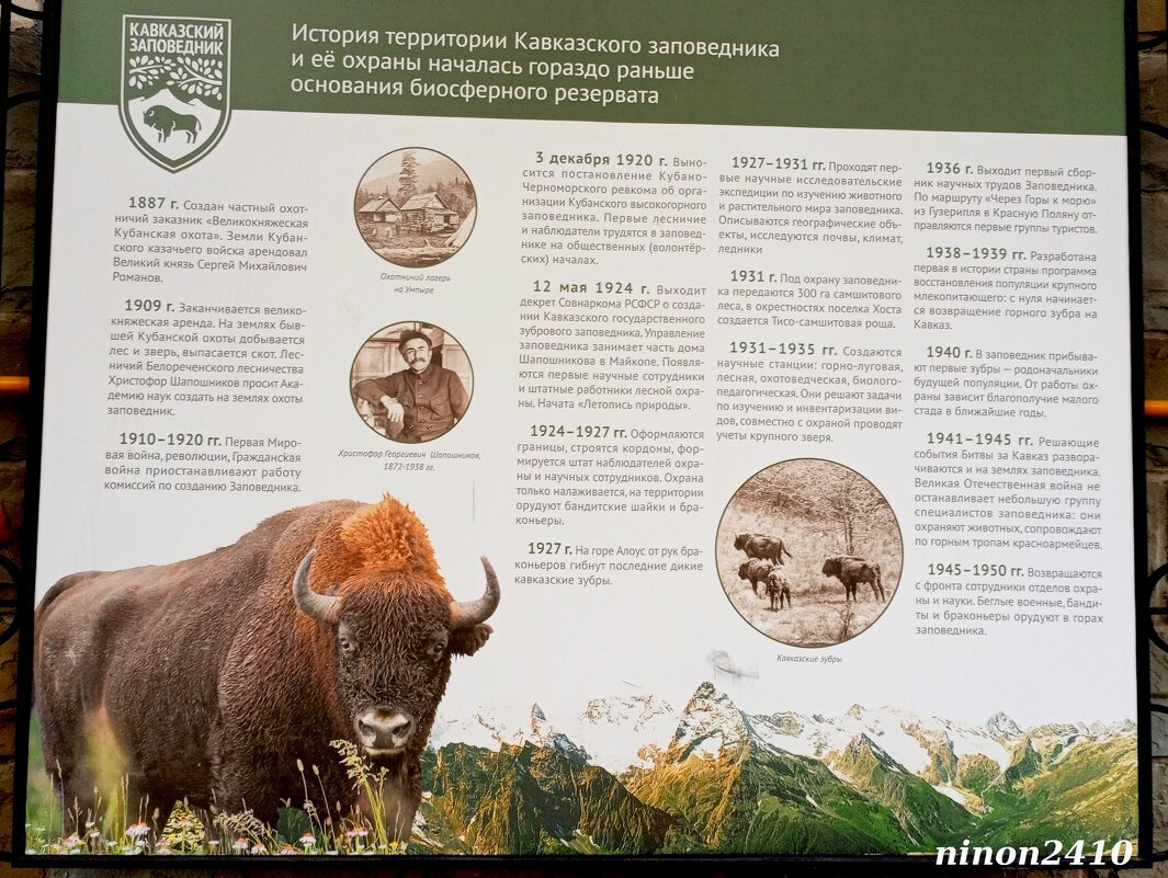 Адлер. Ноябрь... - Нина Бутко Адлер. Ноябрь... - Нина Бутко