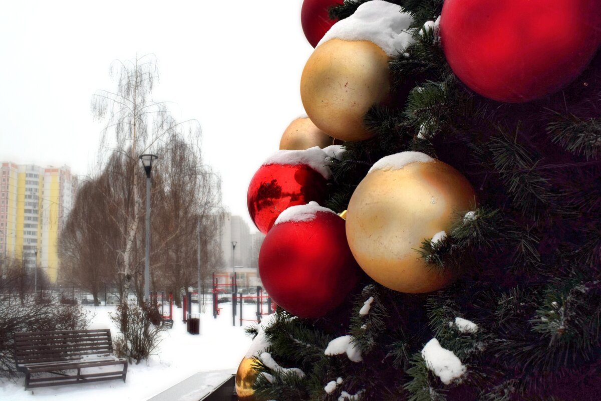 Цветные шарики на ёлке, их держат колкие иголки. - Татьяна Помогалова Цветные шарики на ёлке, их держат колкие иголки. - Татьяна Помогалова