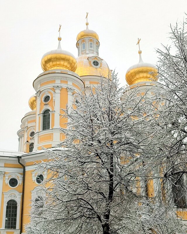 Собор Владимирской иконы Божией Матери - Ирина 