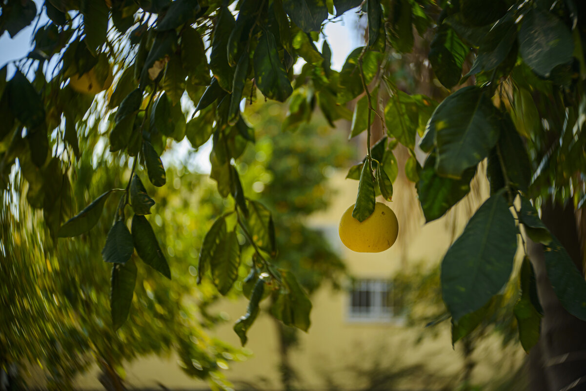 домой... - Осень домой... - Осень