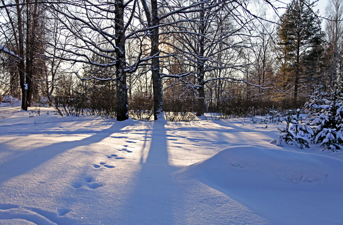 Зимнее солнце - Наталья 