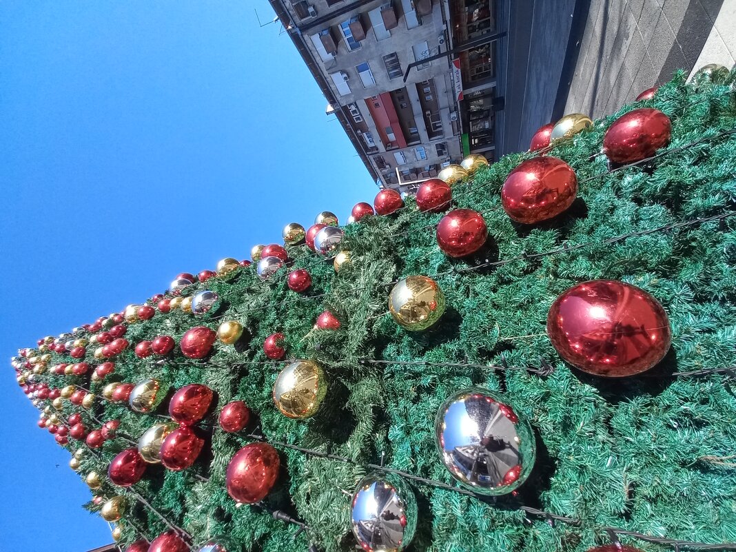 Ёлка - Милорад Ёлка - Милорад