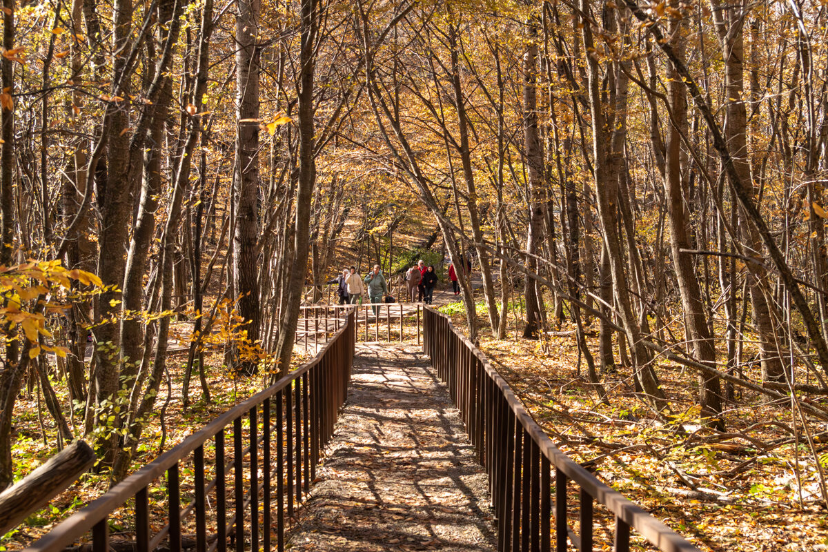 Подъем на гору к Святому источнику - Игорь Сикорский