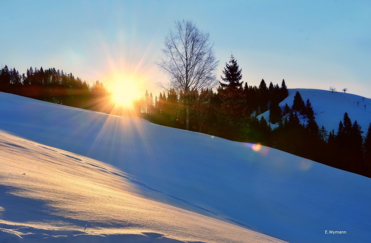 winter morning - Elena Wymann