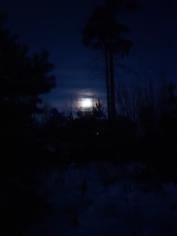 Вот и Зимушка-зима пришла - Галина Минчук