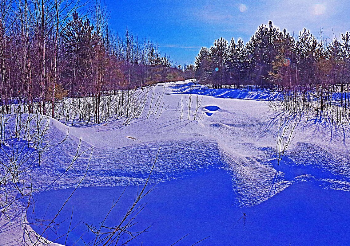 Февраль...Весна света и глубокие сугробы! - Владимир 