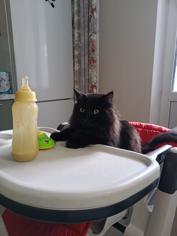 Кушоц пора - Юлия 