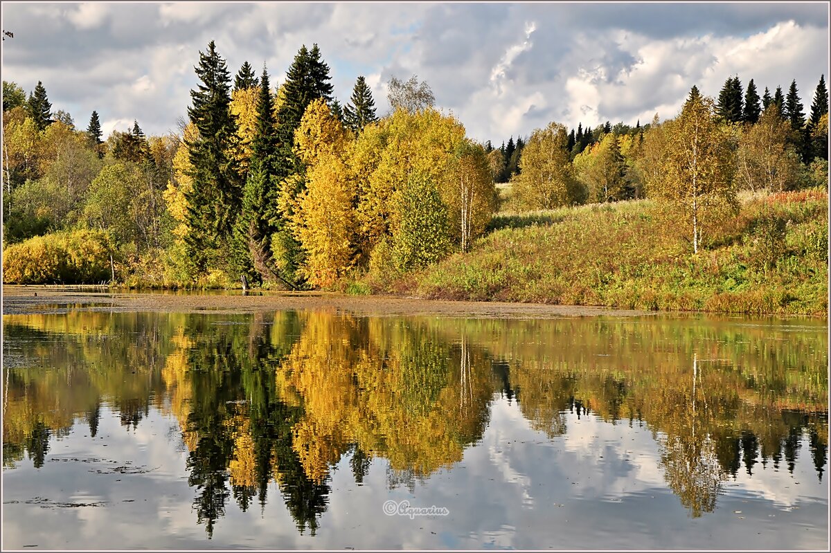 Осенние зарисовки... - Aquarius - Сергей Осенние зарисовки... - Aquarius - Сергей