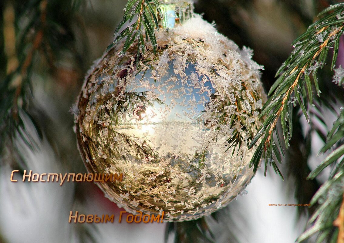 Поздравляю! - Ольга Митрофанова Поздравляю! - Ольга Митрофанова