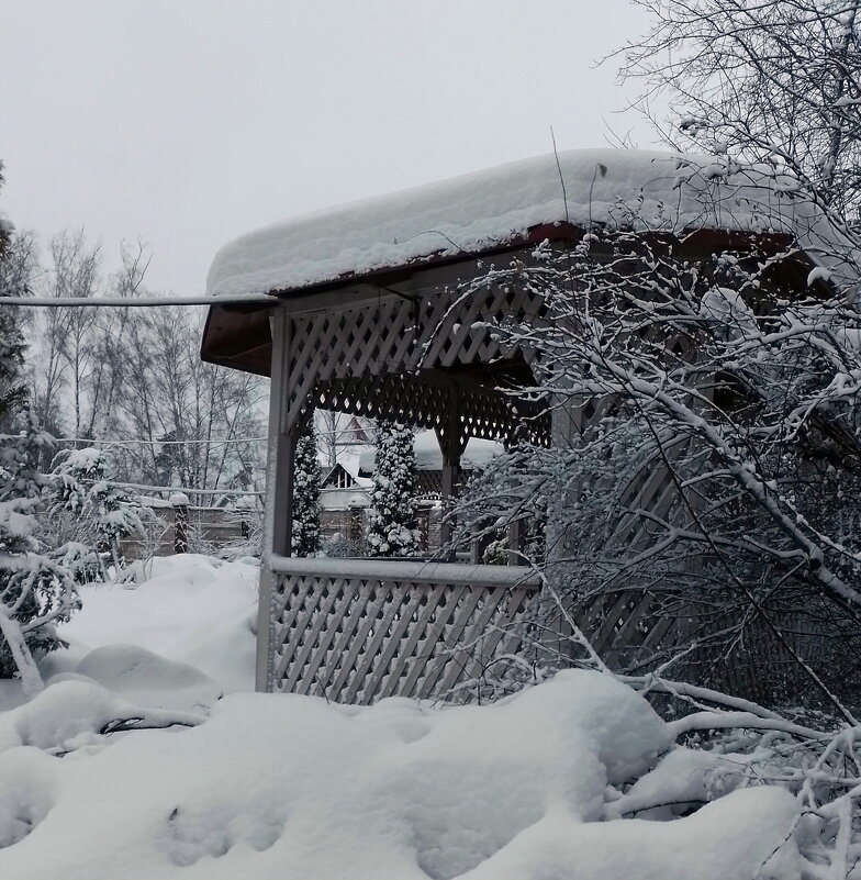 *** - Валентина Береснева