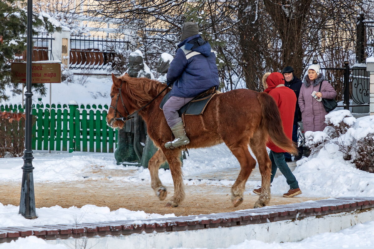 Выйду я во город с конём ... - Анатолий. Chesnavik.