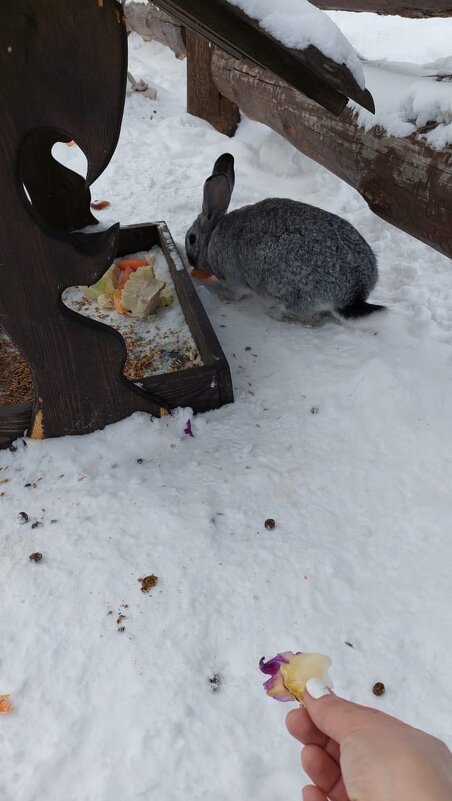 Обед - Любовь Иванова