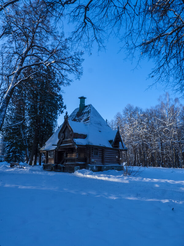 Зимняя сказка - Наталья Rosenwasser