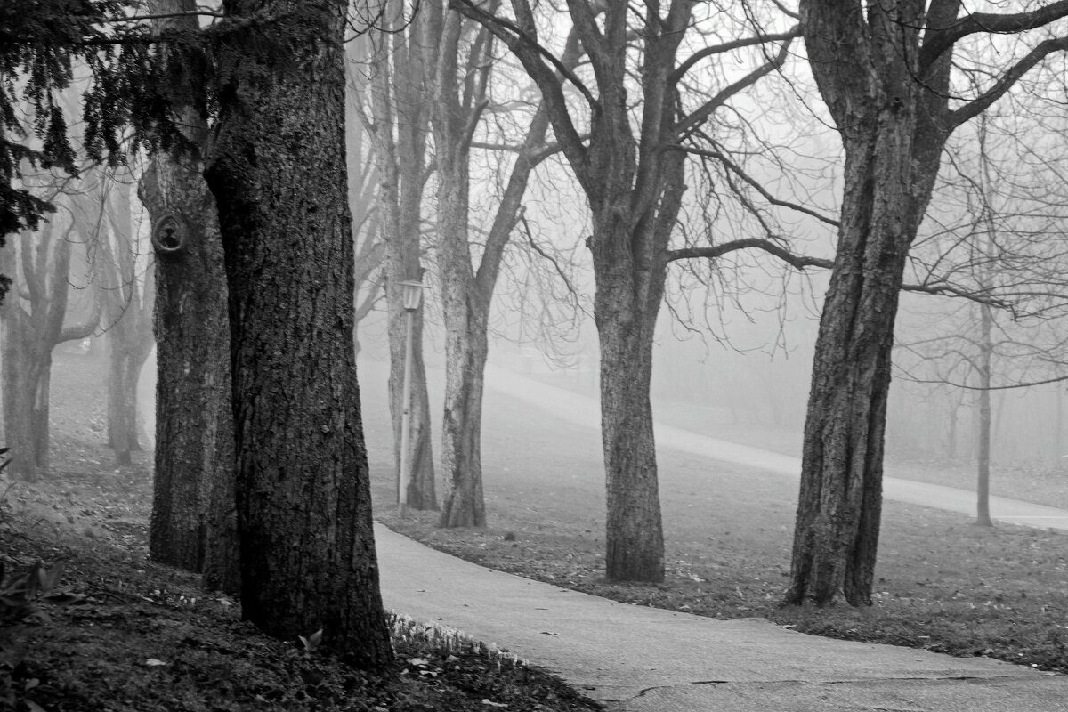 Зимние картинки - Юрий. Шмаков