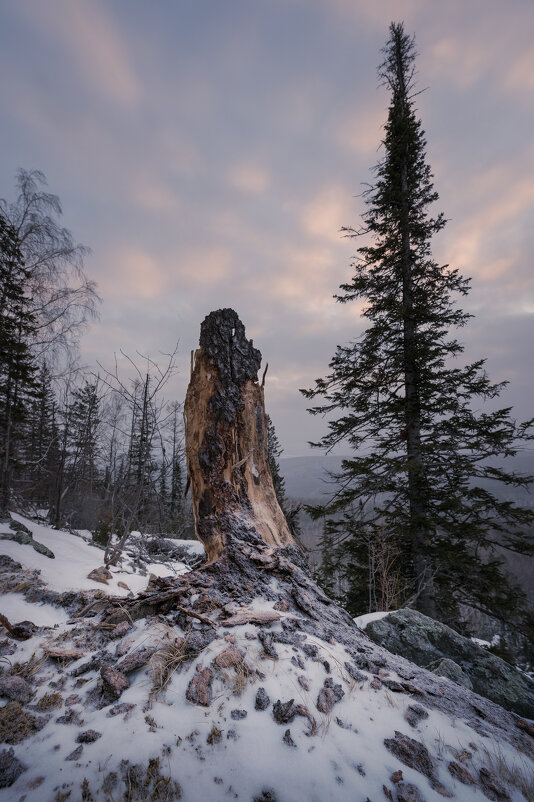 * - Александр Иванов