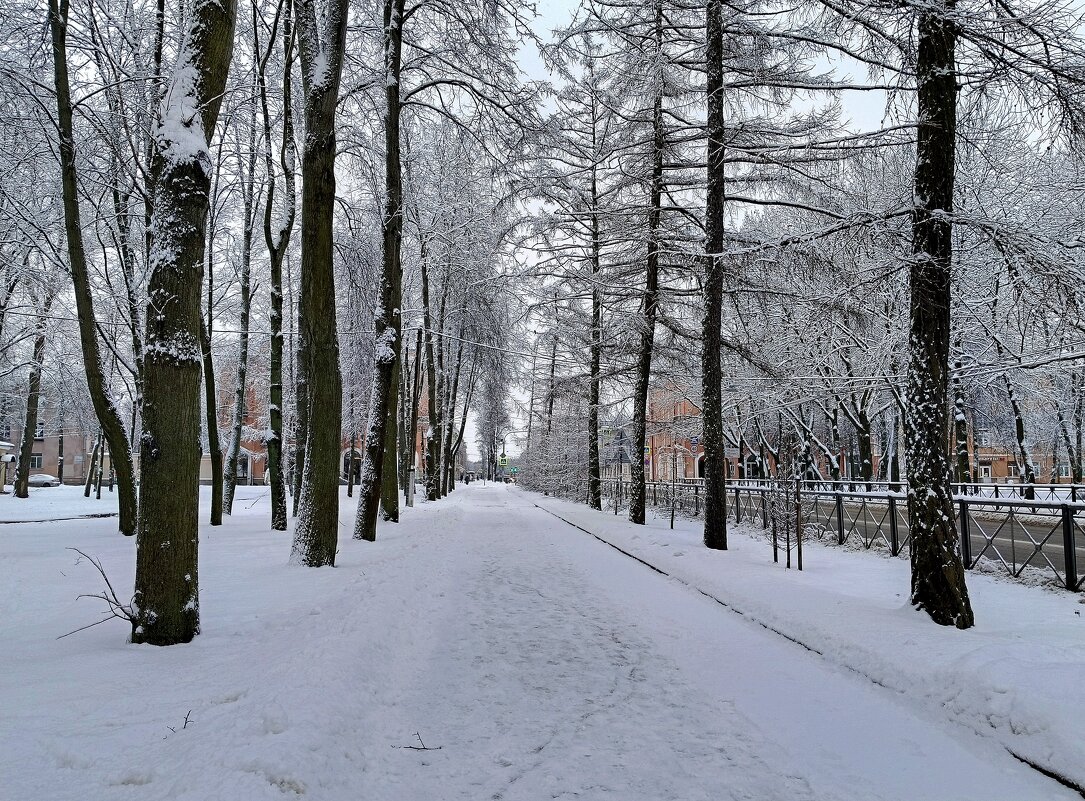 Январь в городе... - Мария Васильева