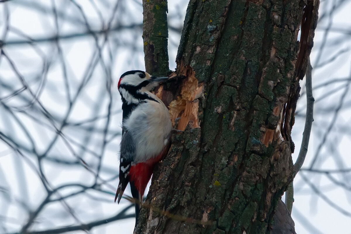 * - Виталий Емельянов * - Виталий Емельянов