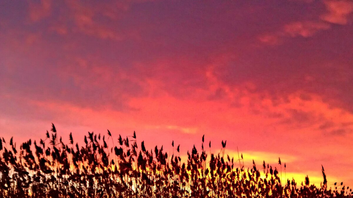 Осенний закат - Hope 