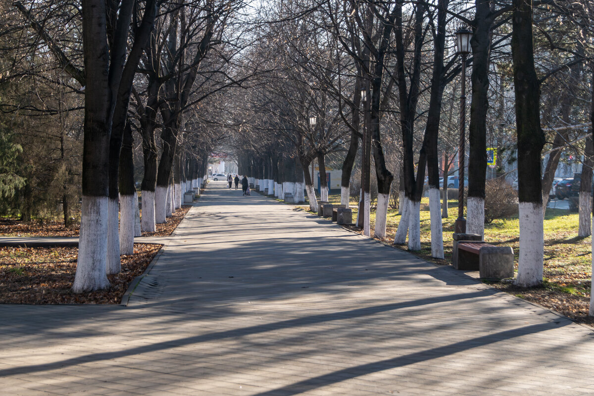 Январь и +17 - Игорь Сикорский