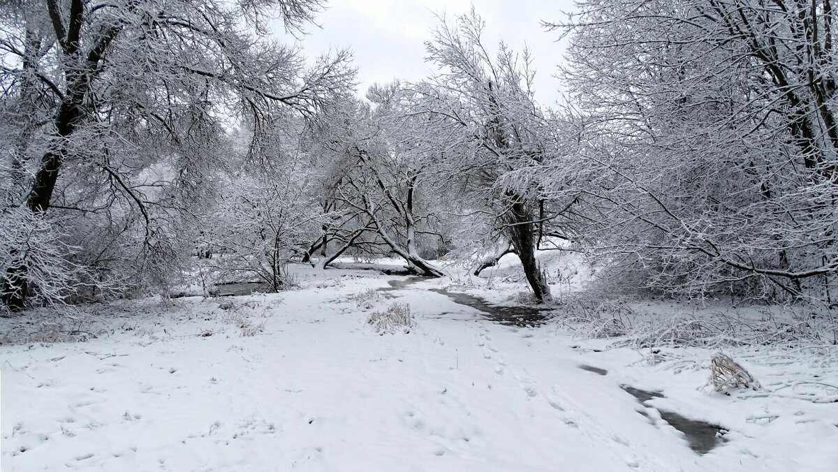 Вода под снегом. - Милешкин Владимир Алексеевич 