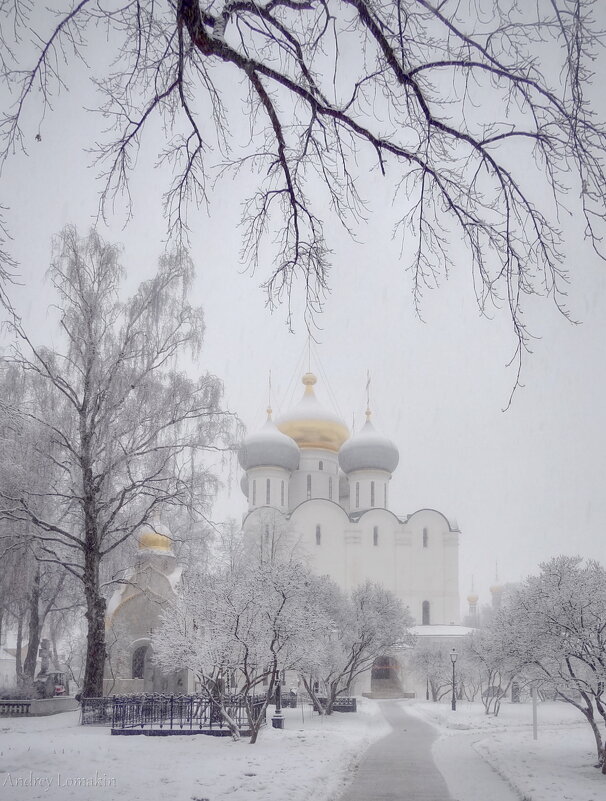 Смоленский собор - Andrey Lomakin