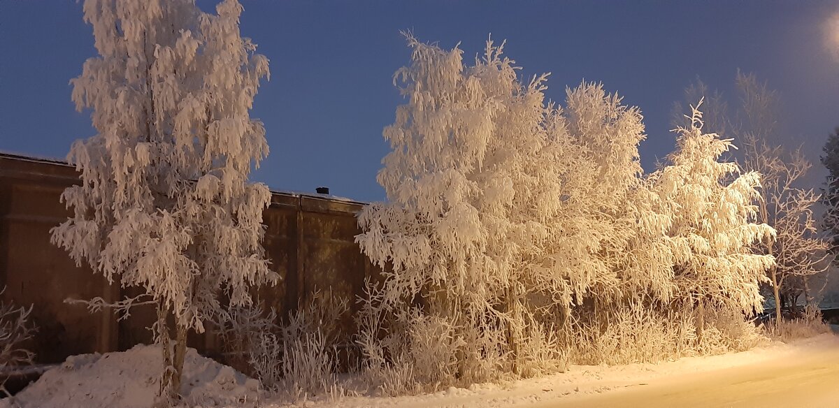 В зимних сумерках - Ольга 