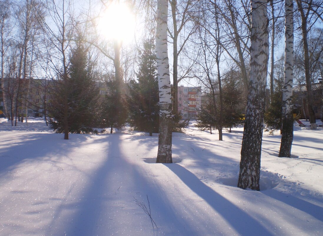 Зима. - Венера Чуйкова