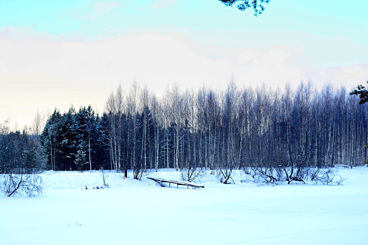 *** - Александр 