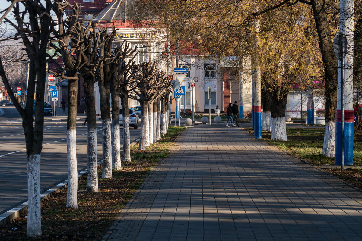Новый год прошел без снега - Игорь Сикорский Новый год прошел без снега - Игорь Сикорский