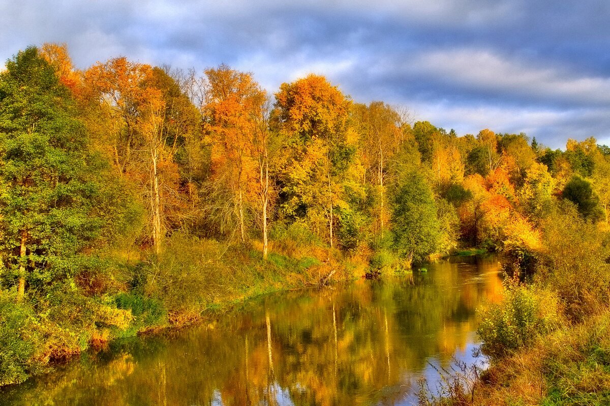 Осенние контрасты - Юрий Спасенников