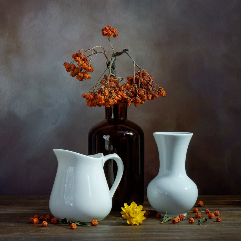 Рябиновая ветка - Александр Рябиновая ветка - Александр