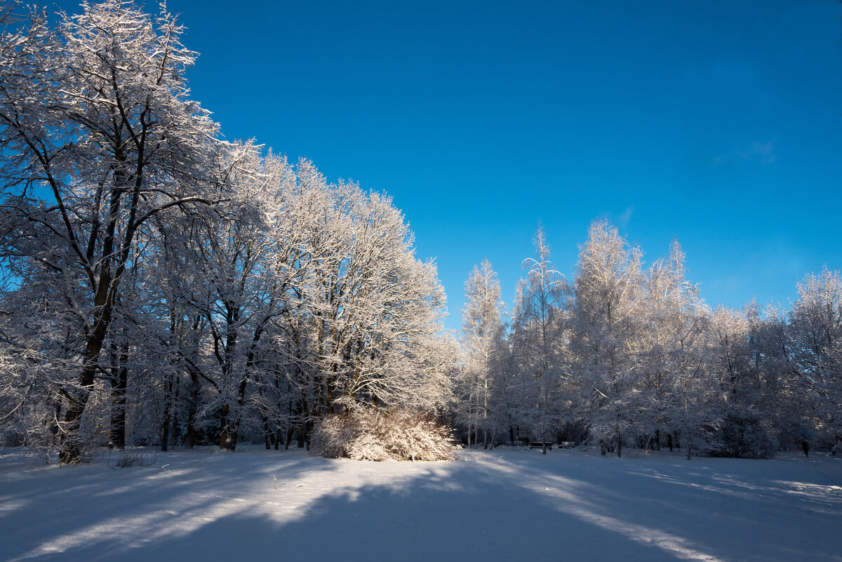 *** - Владимир Безбородов *** - Владимир Безбородов