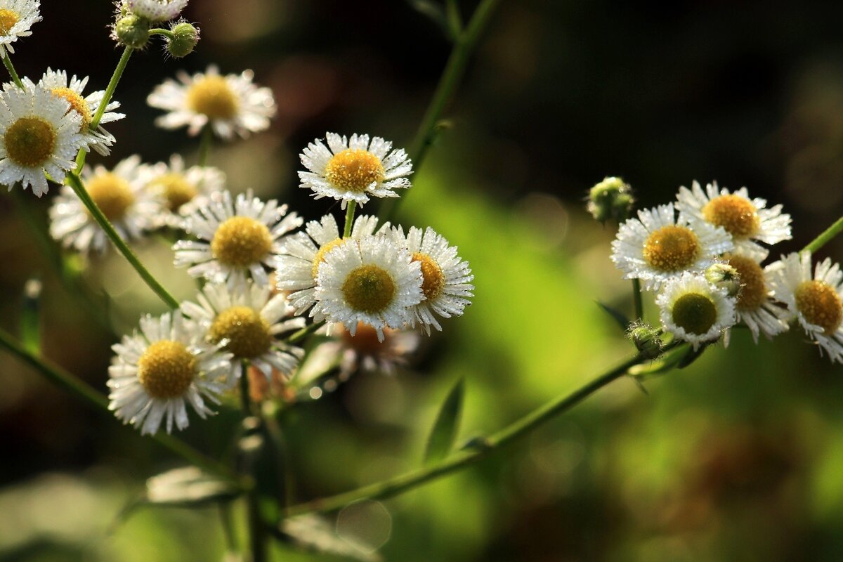 Доброе утро - Юрий. Шмаков Доброе утро - Юрий. Шмаков