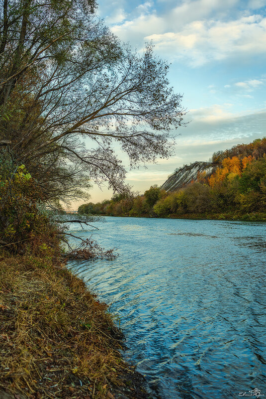 ... - Евгений Юрич ... - Евгений Юрич