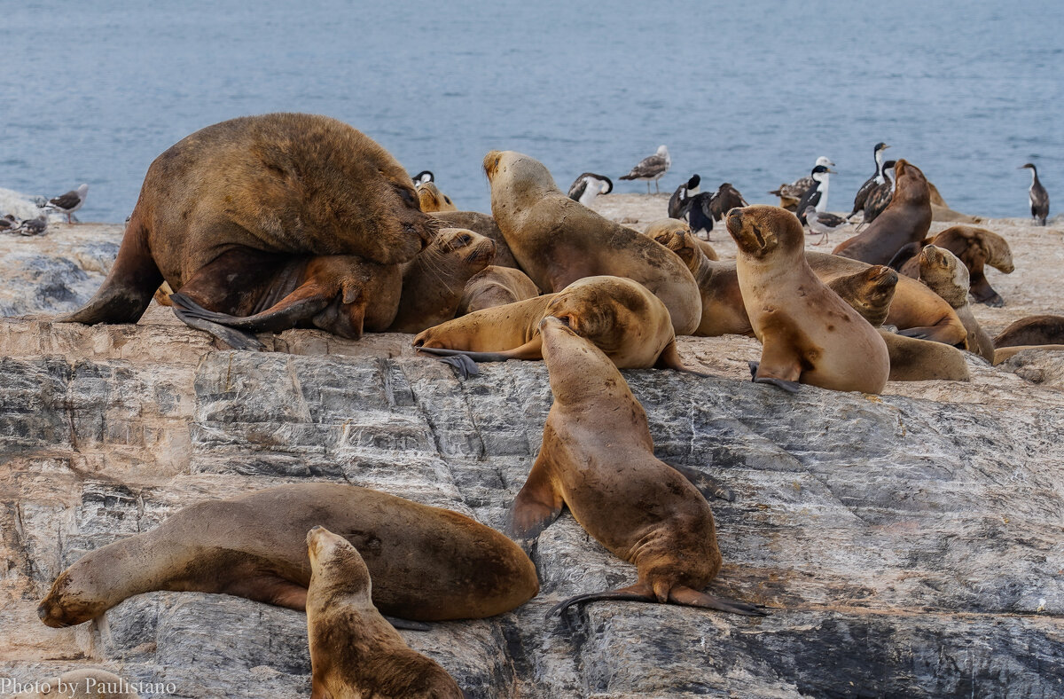 В центре внимания... - Владимир Жданов В центре внимания... - Владимир Жданов
