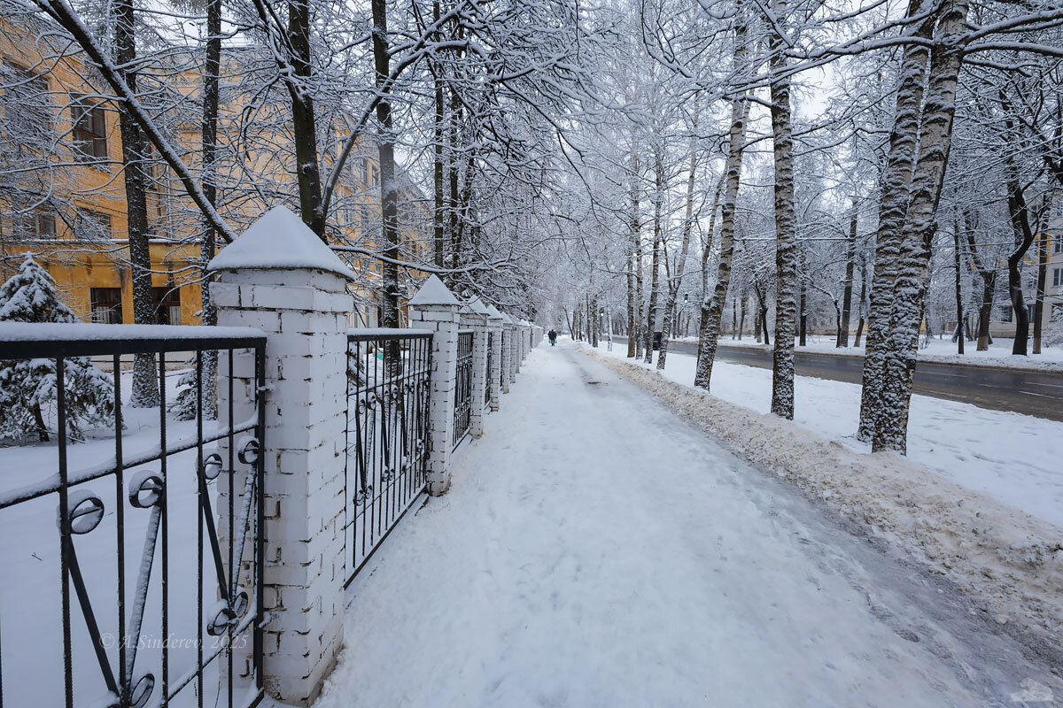 снежные деревья на улице города - Александр Синдерёв