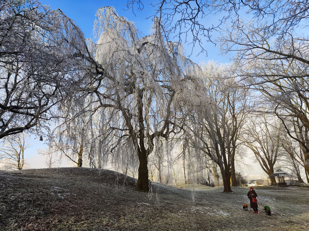 иний- синий - С.Т.Морис 