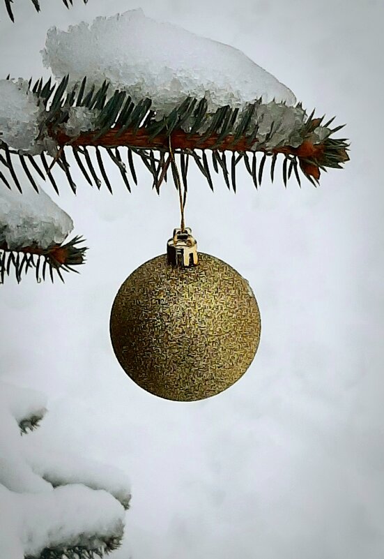 Шарики - Наталья Герасимова Шарики - Наталья Герасимова