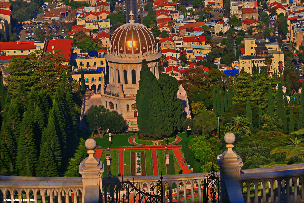 Хайфа 2025 - Владислав Воровский 