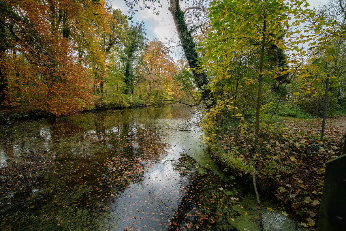 Магия осени... - Николай Гирш Магия осени... - Николай Гирш