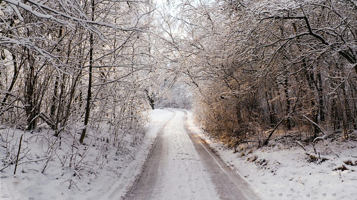 Солнечная дорога. - Милешкин Владимир Алексеевич Солнечная дорога. - Милешкин Владимир Алексеевич