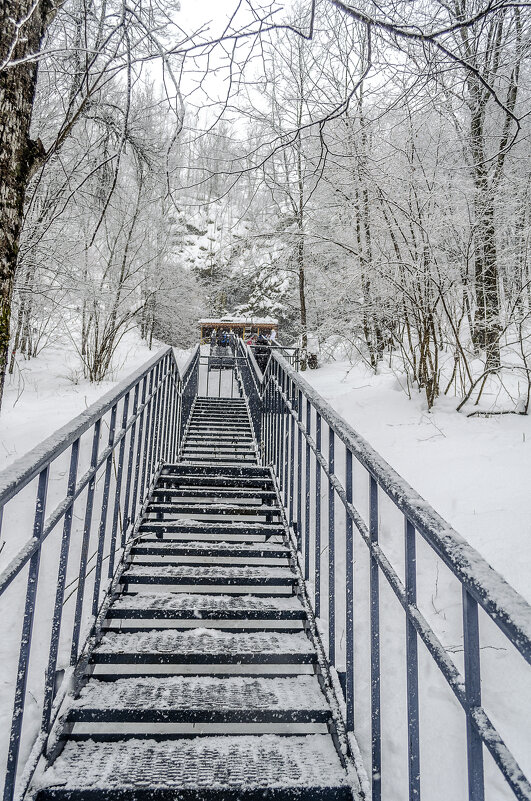 Вверх - Андрей Щетинин Вверх - Андрей Щетинин