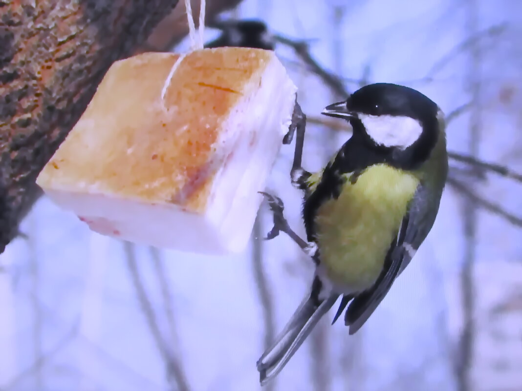 Так вкусно - Людмила Смородинская Так вкусно - Людмила Смородинская