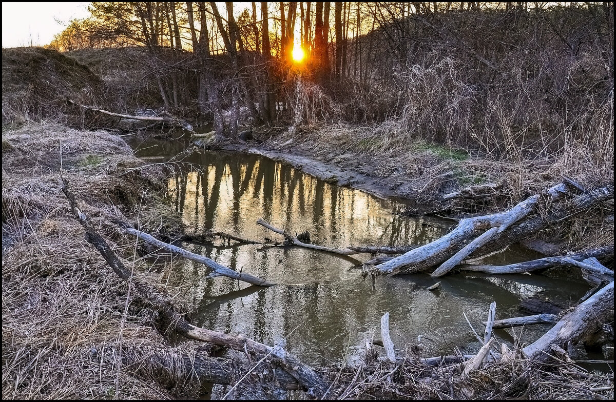 Вечер в апреле - **** vedin Вечер в апреле - **** vedin