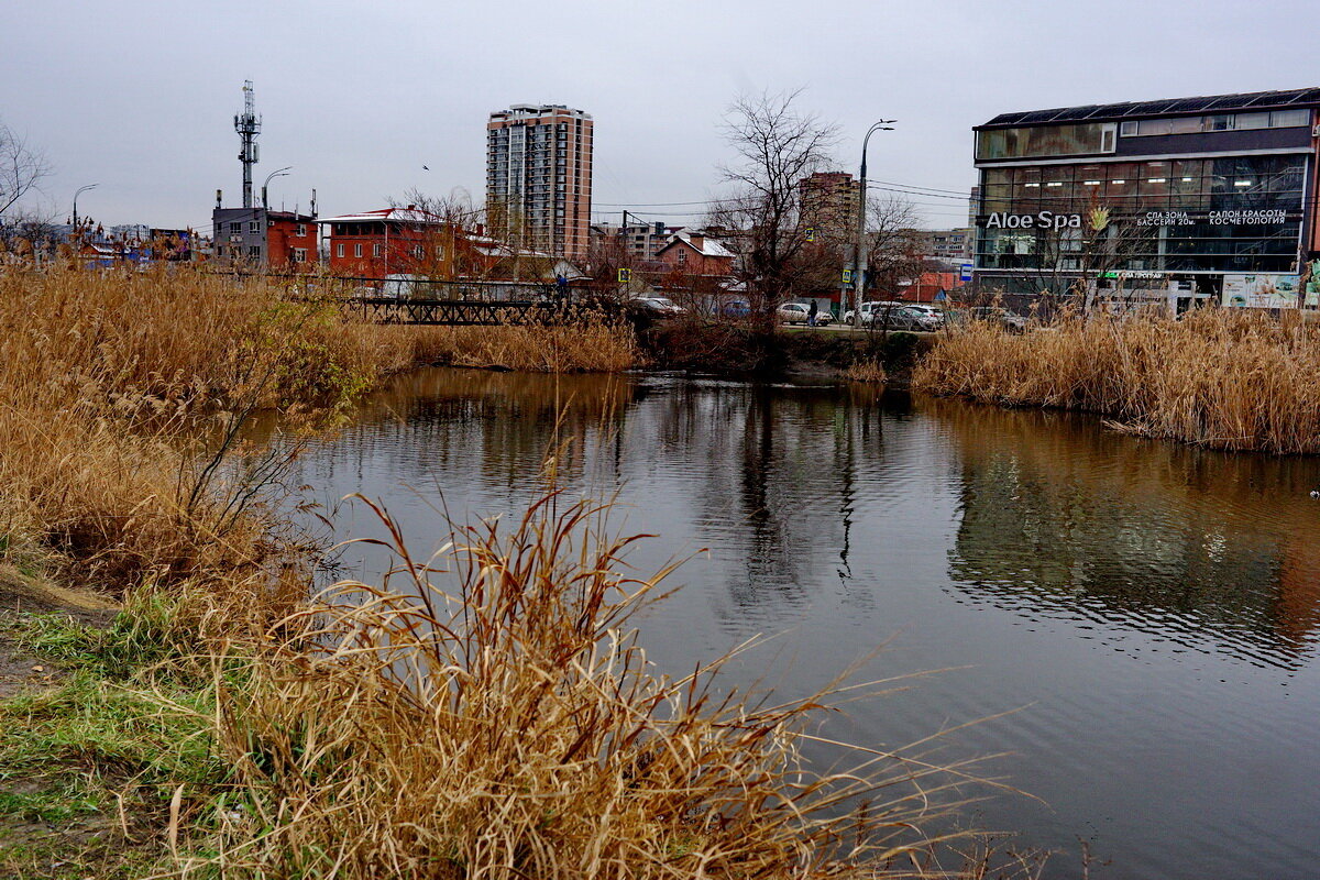 Городское озеро... - Николай Саржанов
