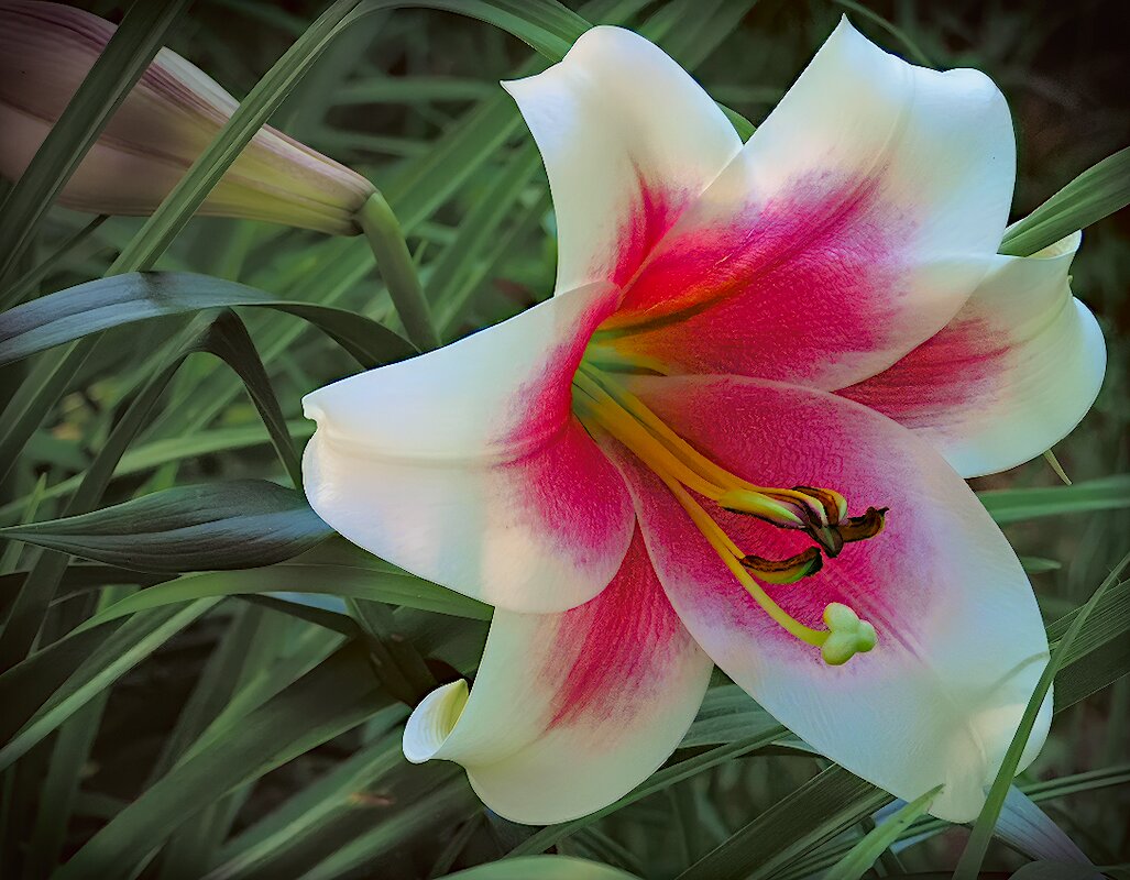 Версаль - Andy 