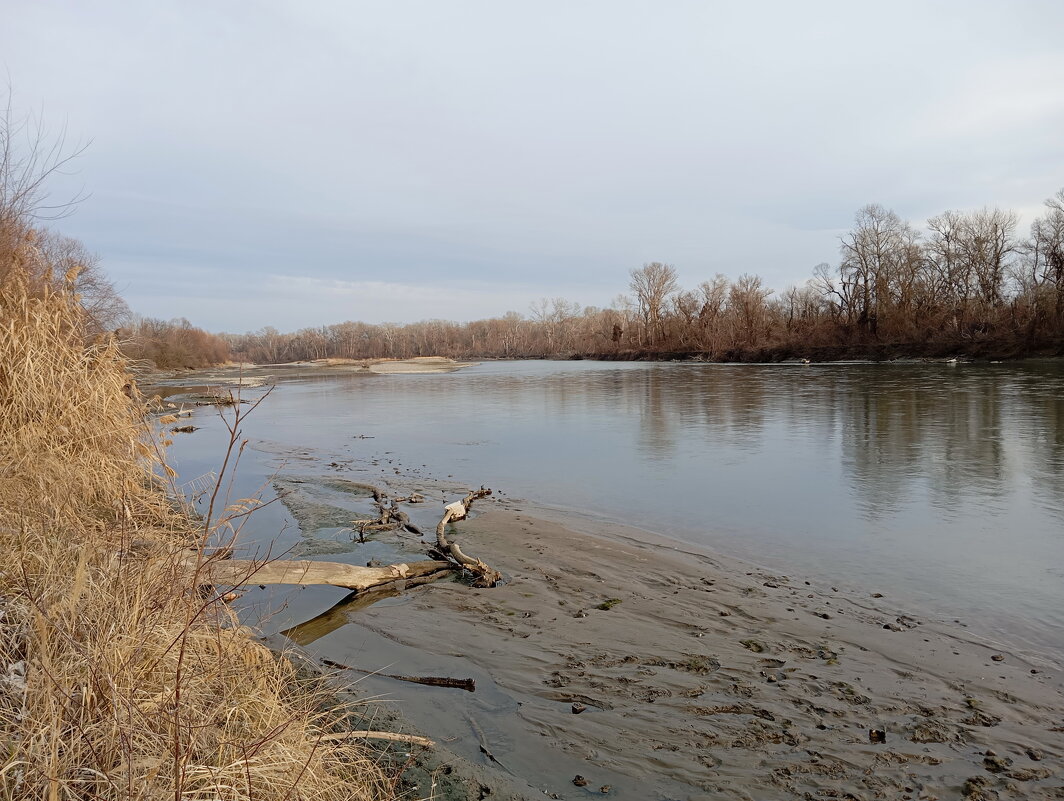 Терек в среднем течении... Январь 2025 года. - Константин Штарк Терек в среднем течении... Январь 2025 года. - Константин Штарк